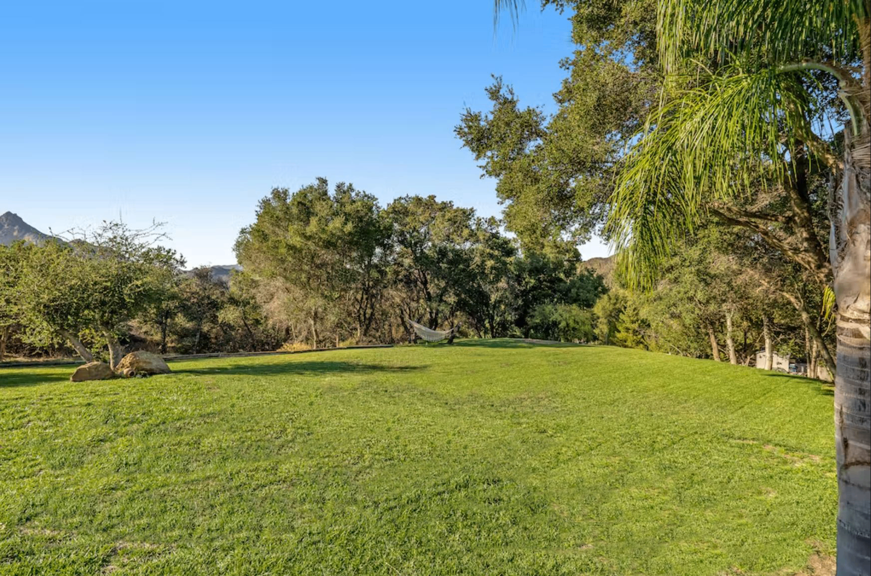 Lower Grass Lawn View